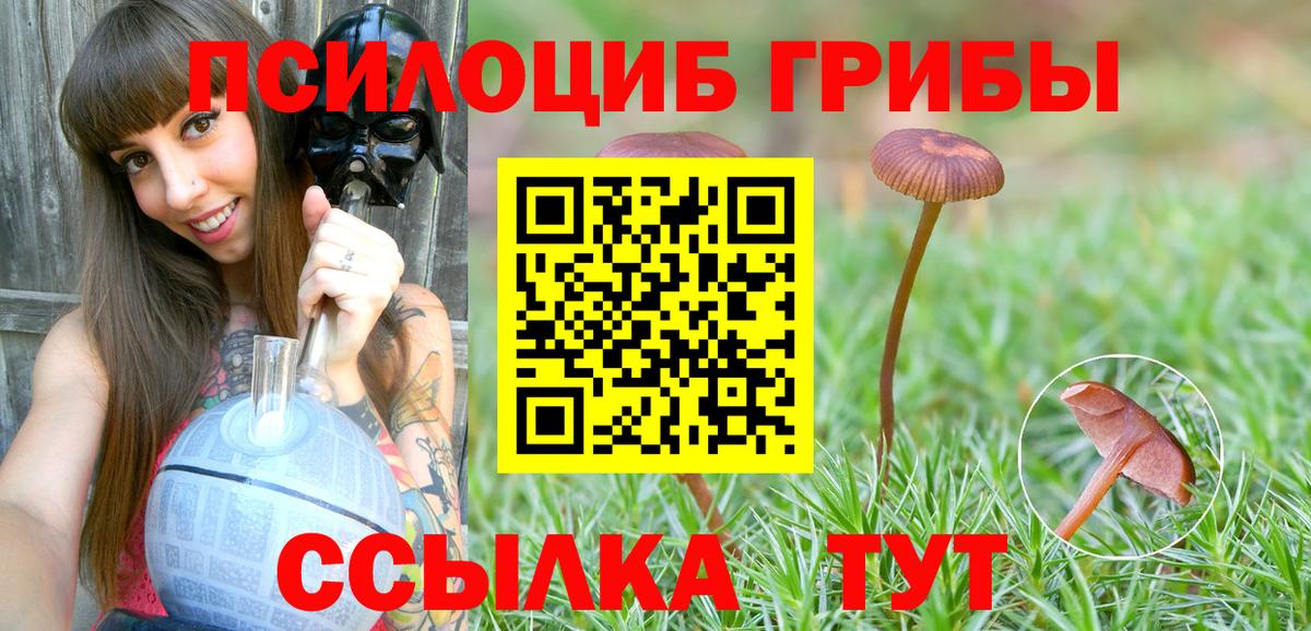 Галлюциногенные грибы мухоморы Норильск